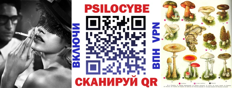 Галлюциногенные грибы Psilocybe Александровское