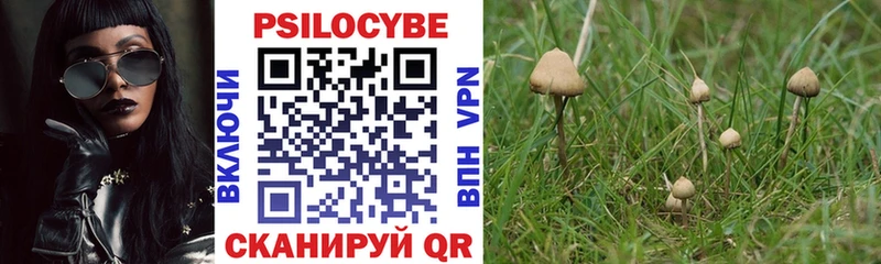 Псилоцибиновые грибы ЛСД  Александровское 